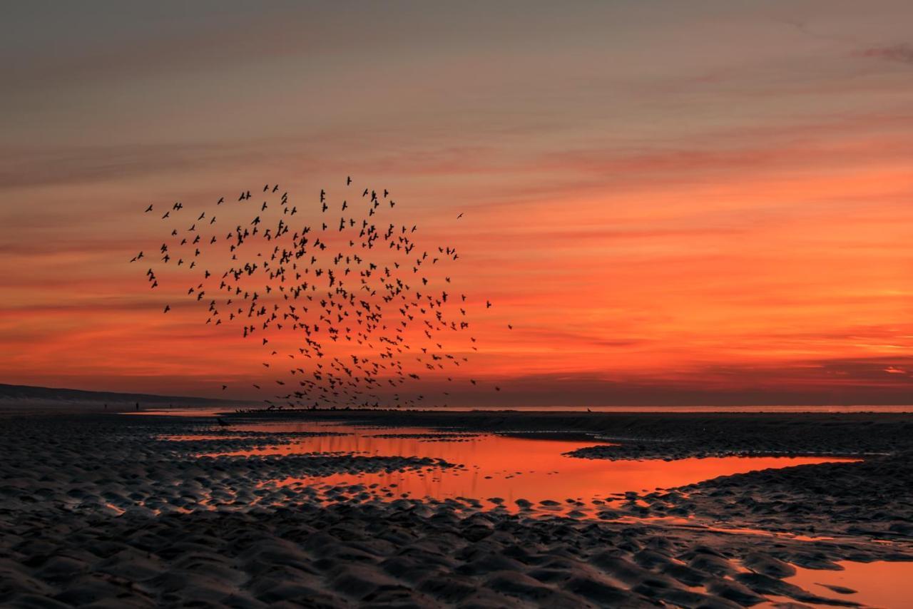 Hoekje Aan Zee Katwijk aan Zee Exterior photo